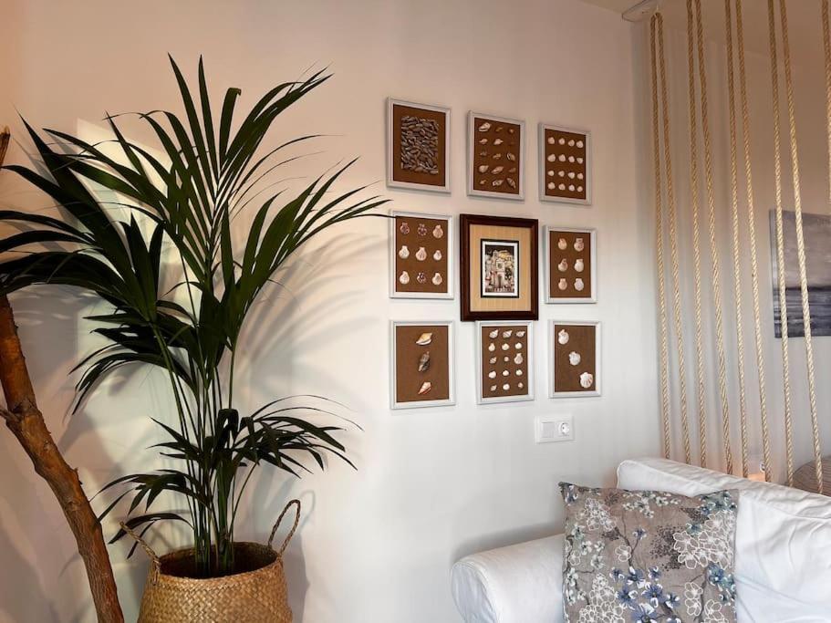 Ocean Dream Apartments - Lovely Sea View Studio Apartment 5Min From Beach San Marcos  Εξωτερικό φωτογραφία